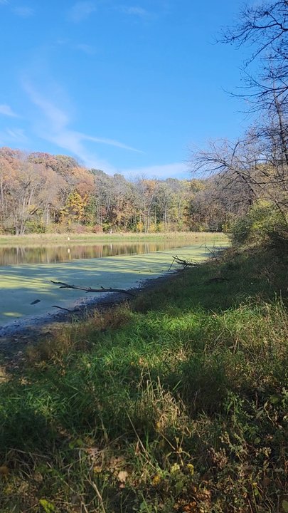 Ledges State Park - Parks Near Me - Madrid, Iowa