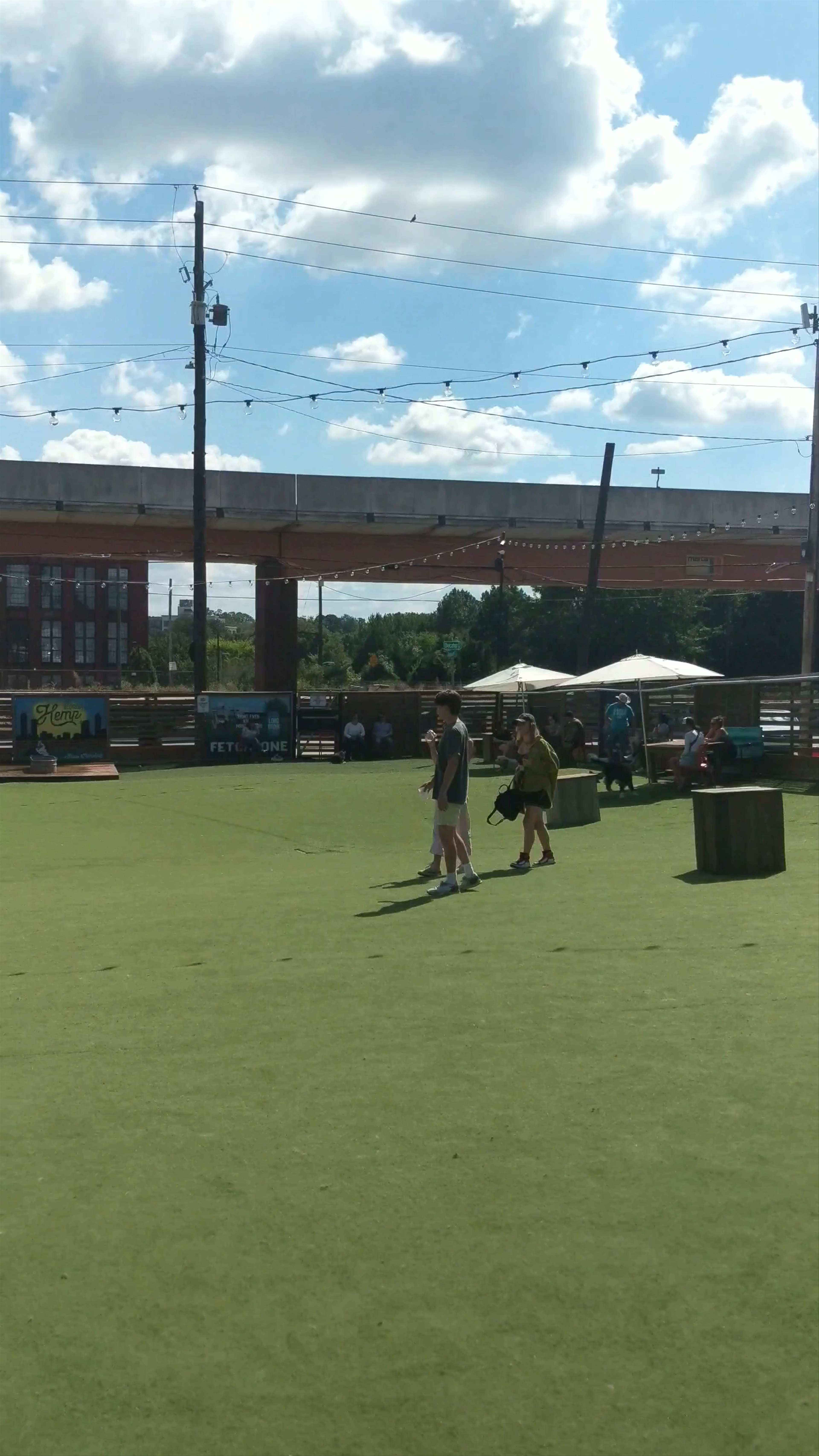 Fetch Park: Vibrant Dog Park Oasis in Atlanta, Georgia