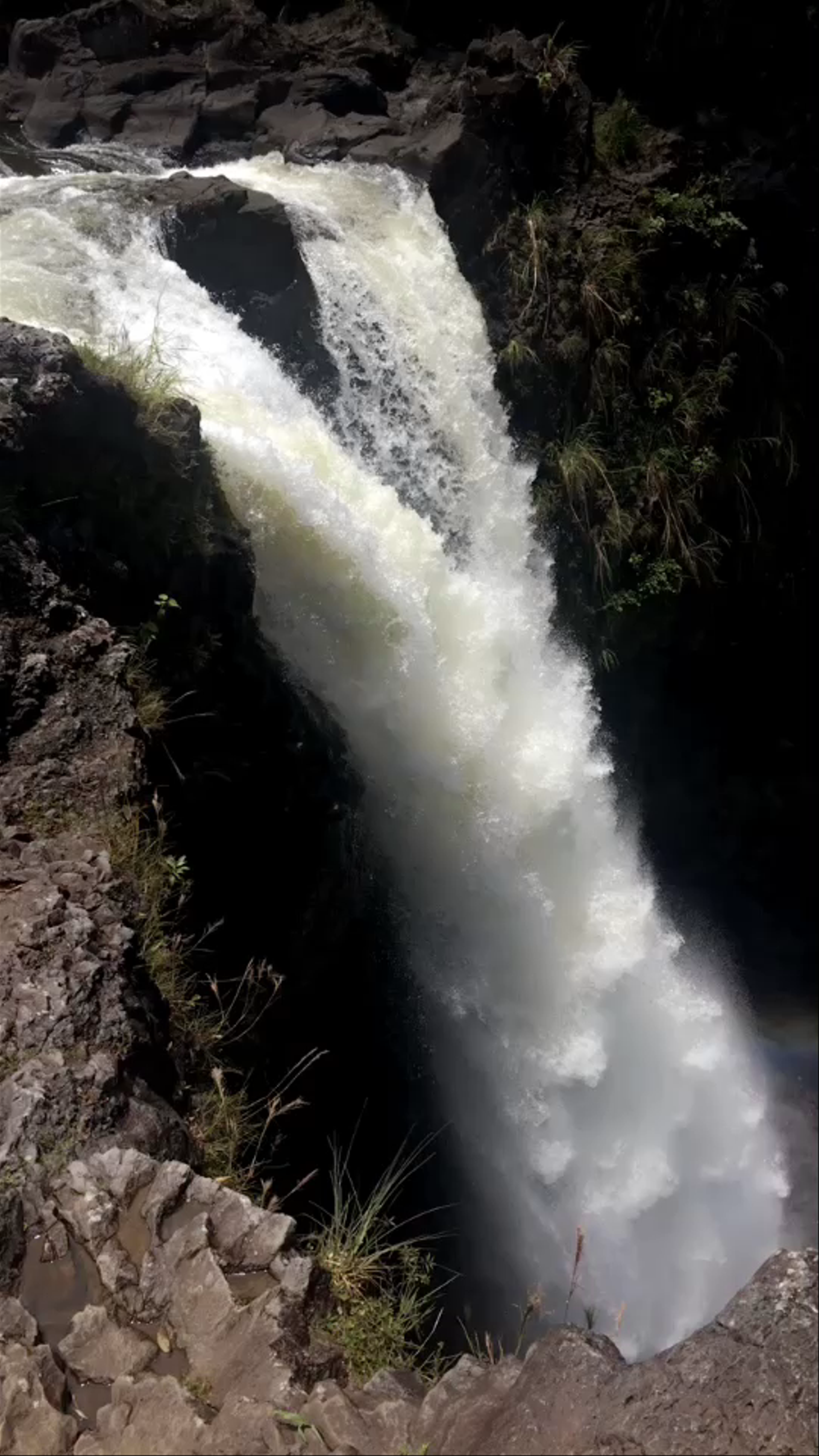 Hilo Waterfall