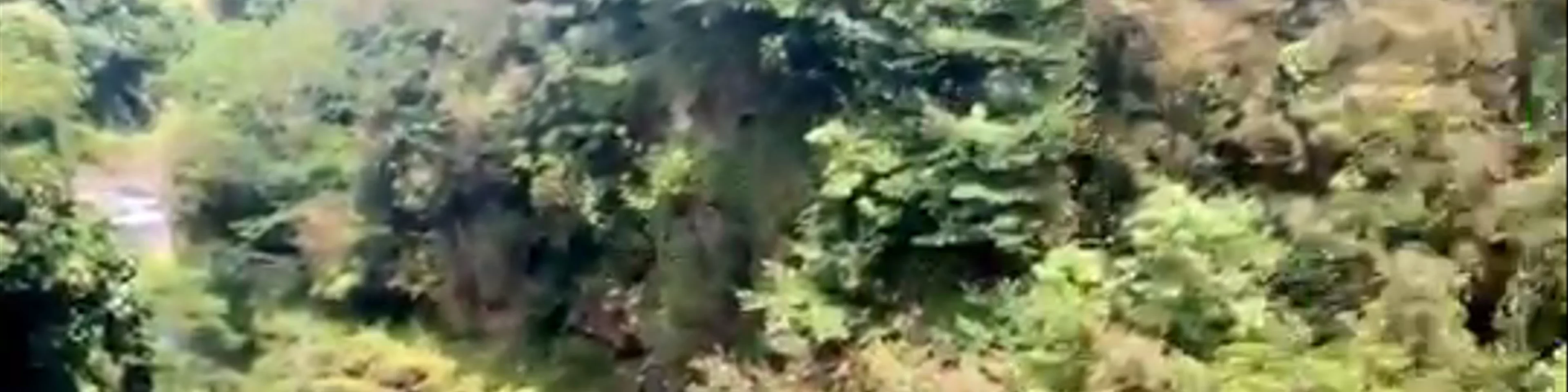 Hilo Waterfall