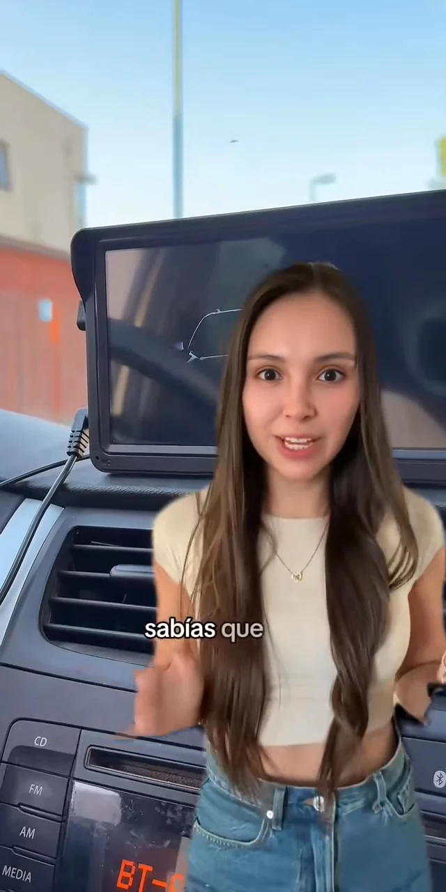 Pantalla para auto