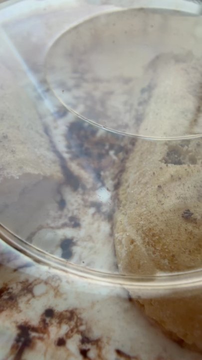 Roasted Coffee Bar - Latte* - Coffee & Tea Near Me - Haverhill, Massachusetts