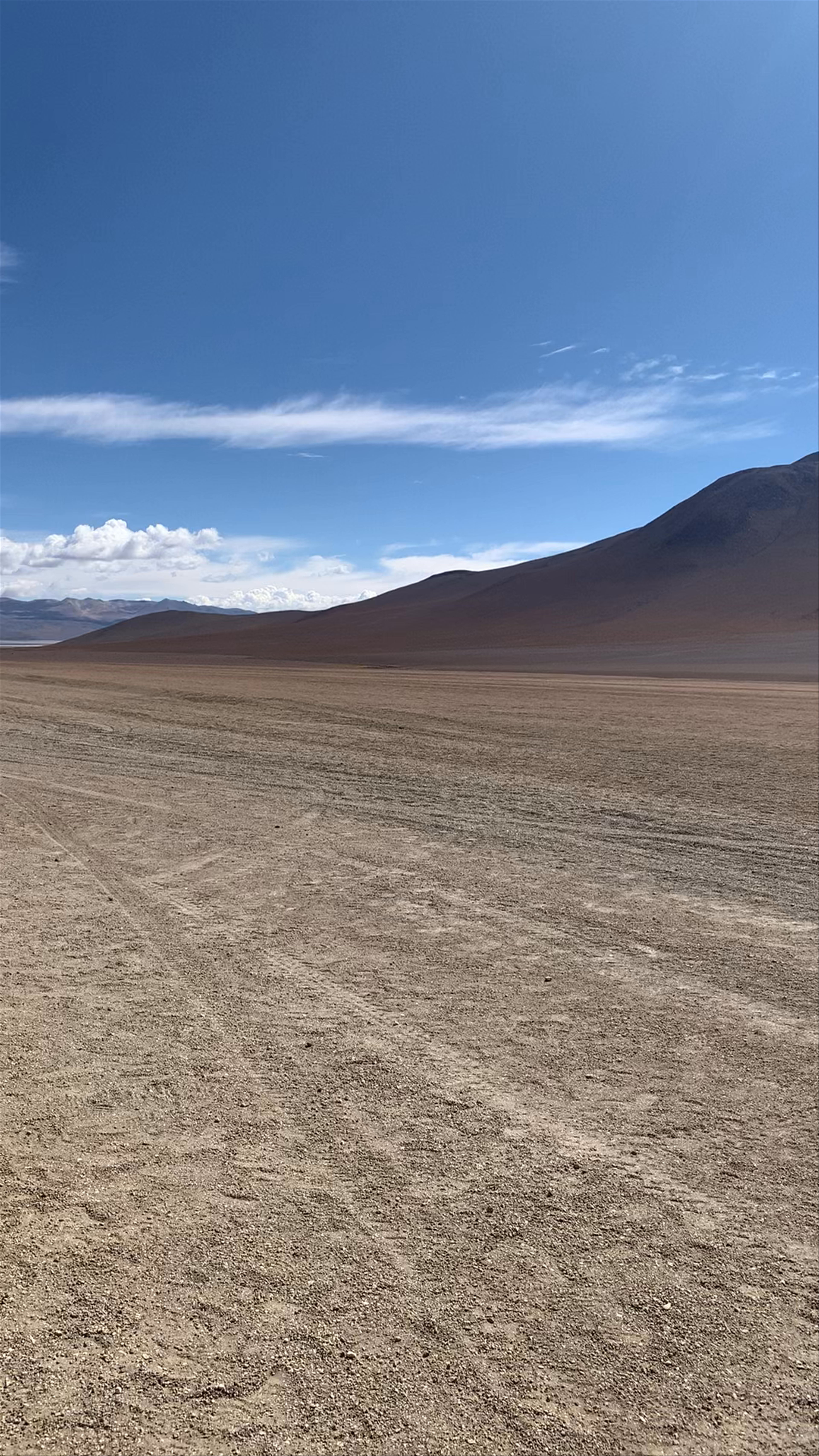 Salvador Dalí Desert