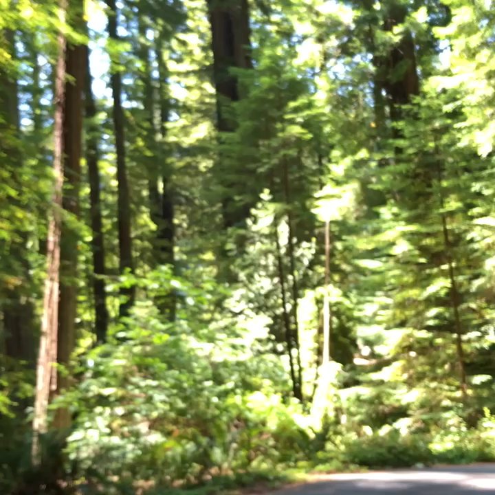 Video thumbnail 17 more videos