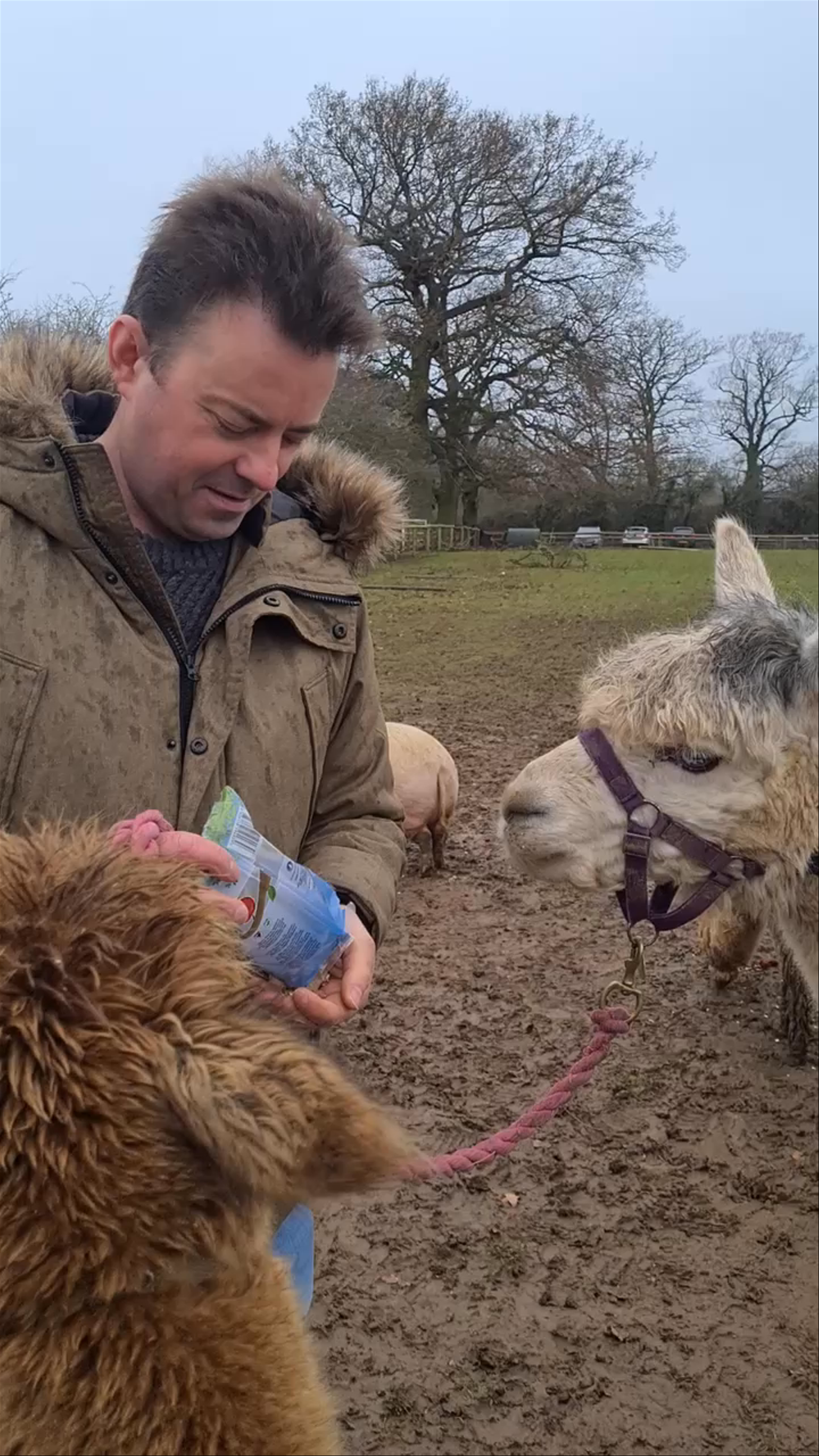 Lucky Tails Alpaca Farm