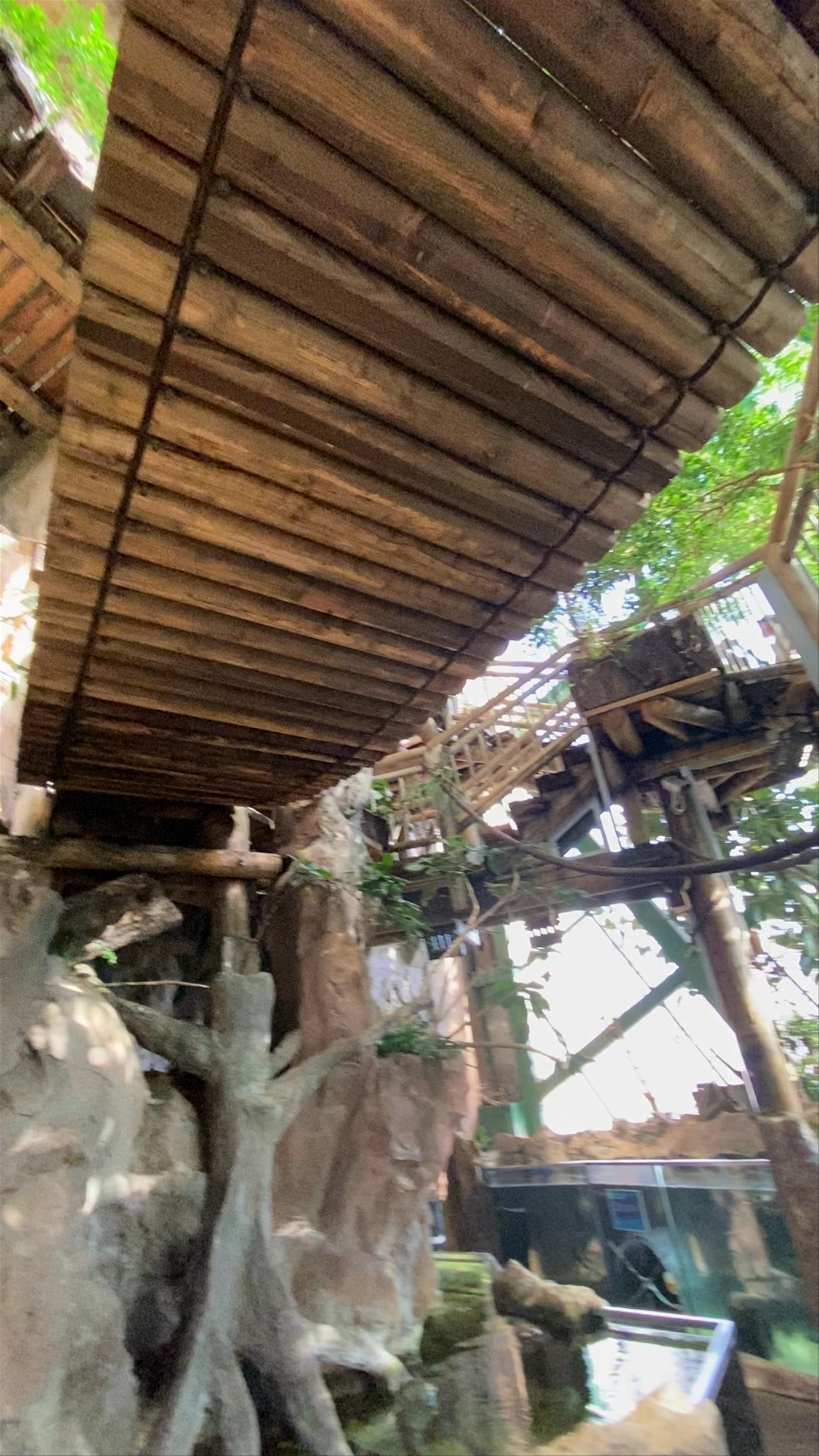 Haus des Meeres: Immersive Tropical Aquarium in Vienna