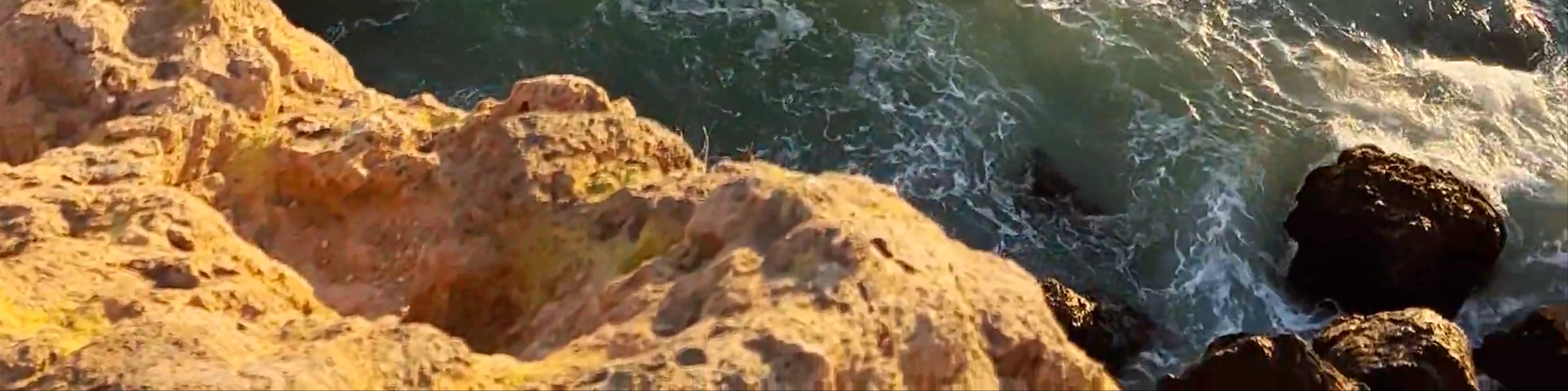 Point Dume Natural Preserve