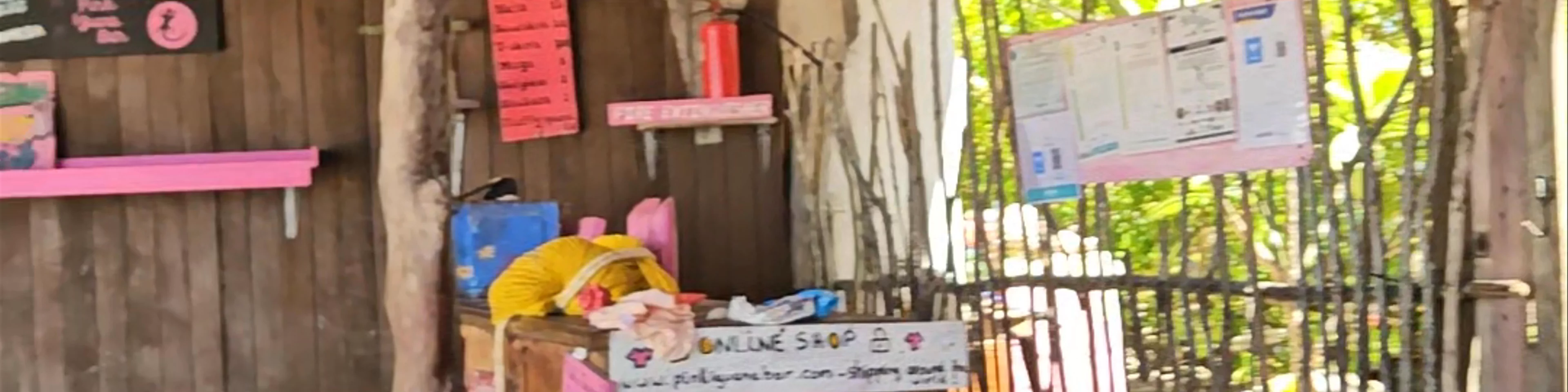 Pink Iguana Bar