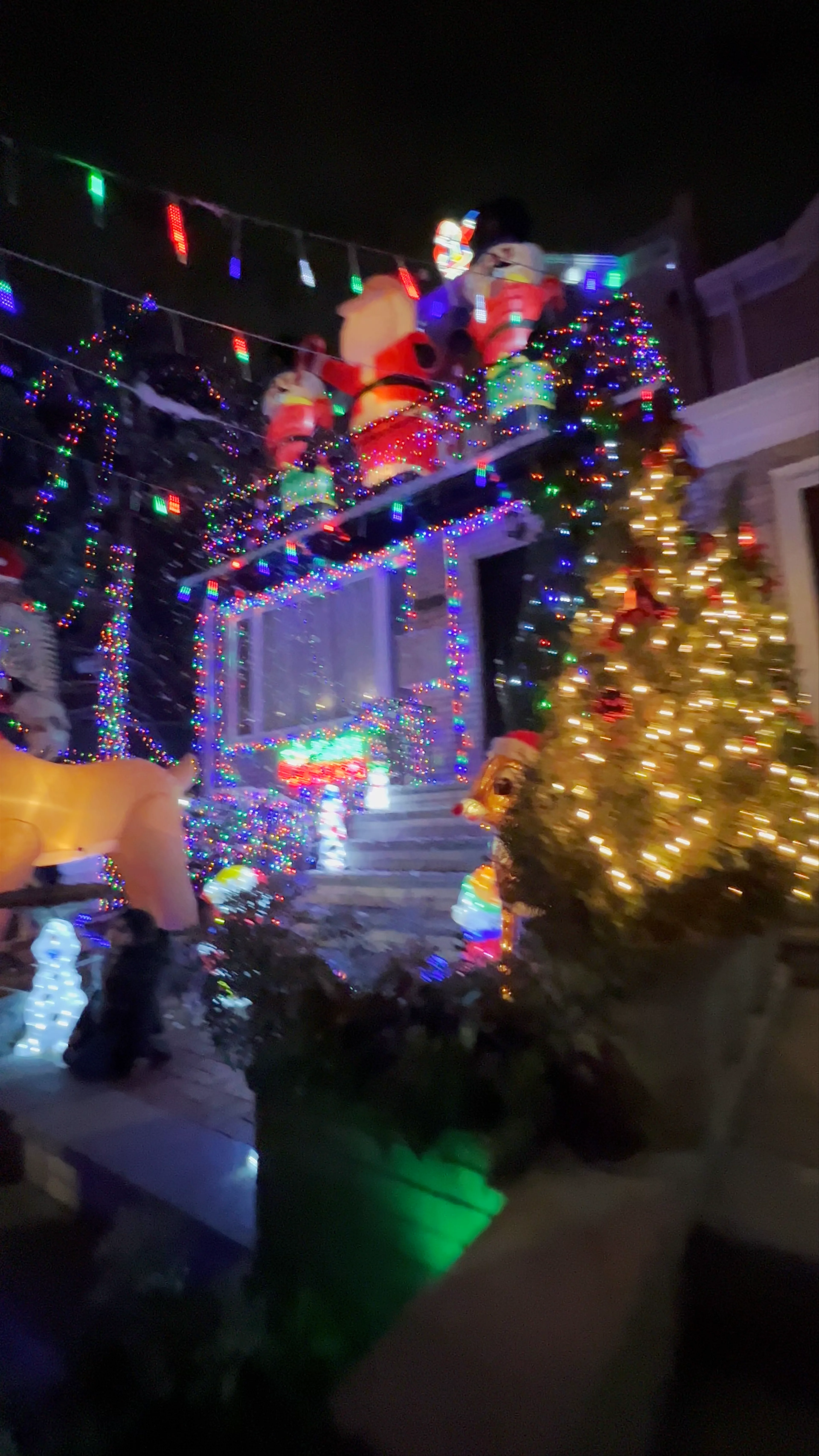 Dyker Heights Christmas Lights