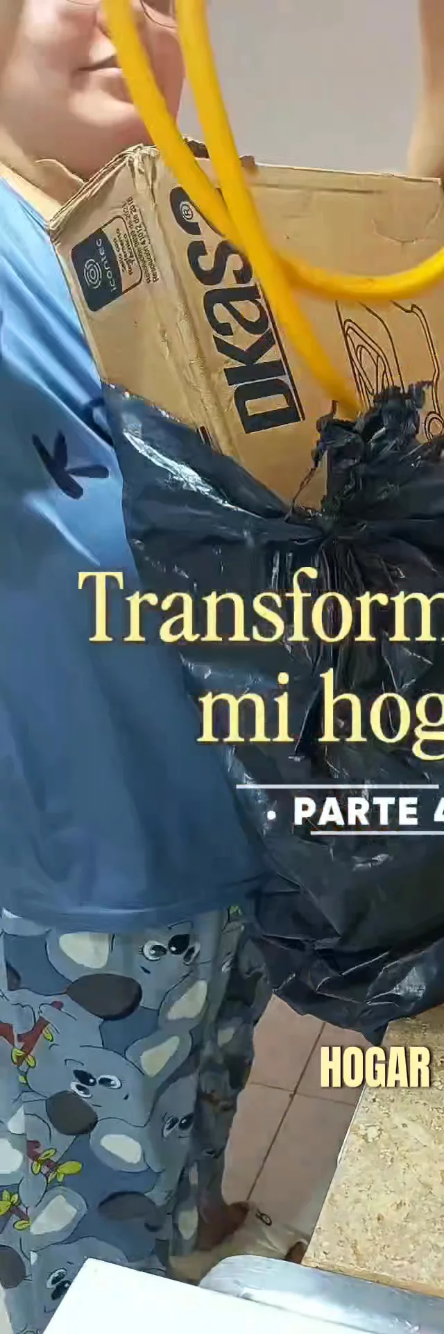 Contenido del creador