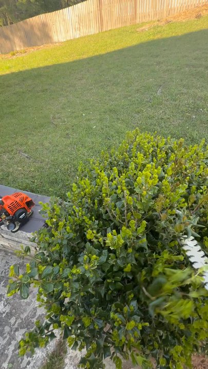 JJ's Lawn Care - Lawn Services Near Me