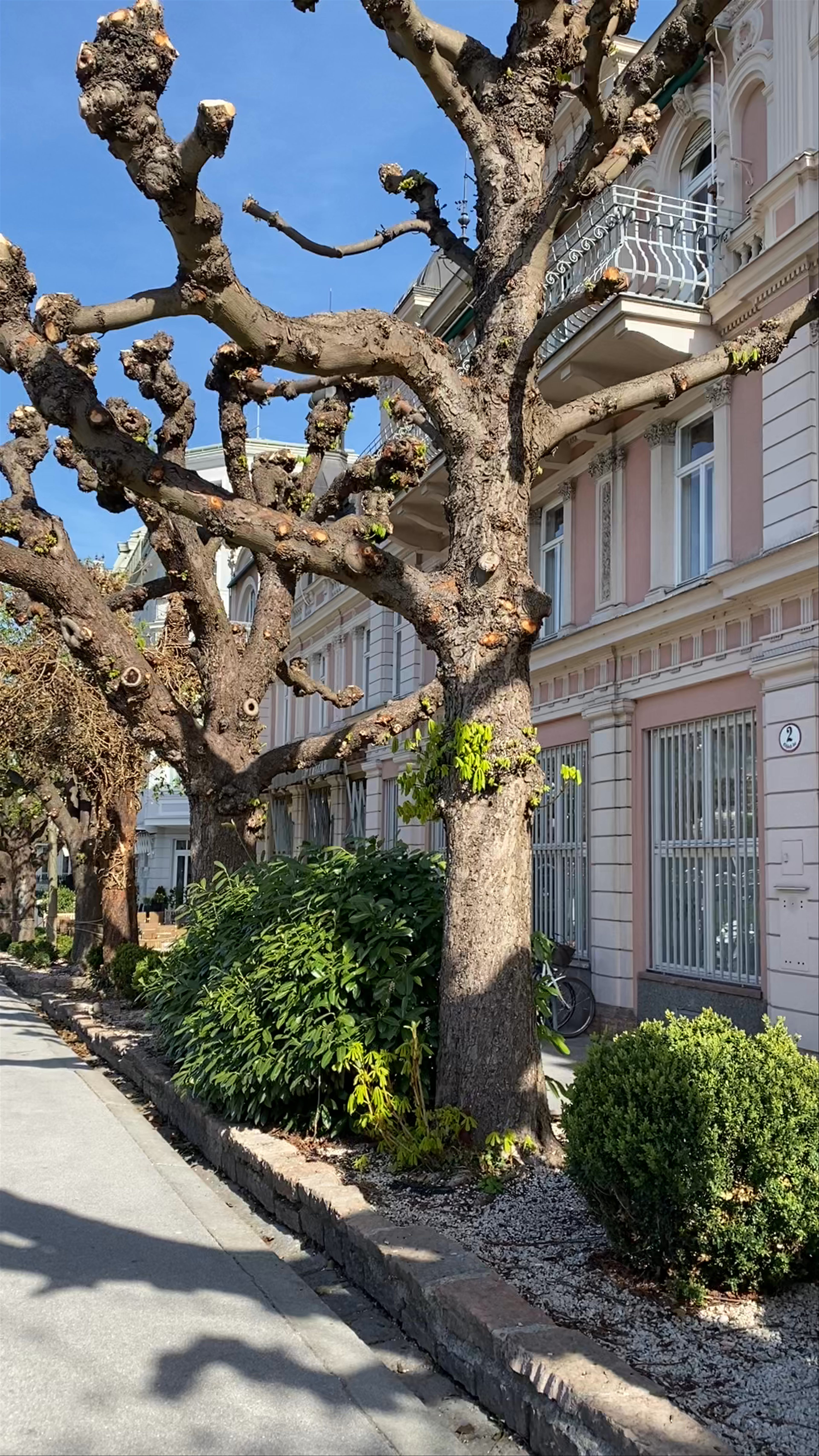 Free Walking Tour Salzburg