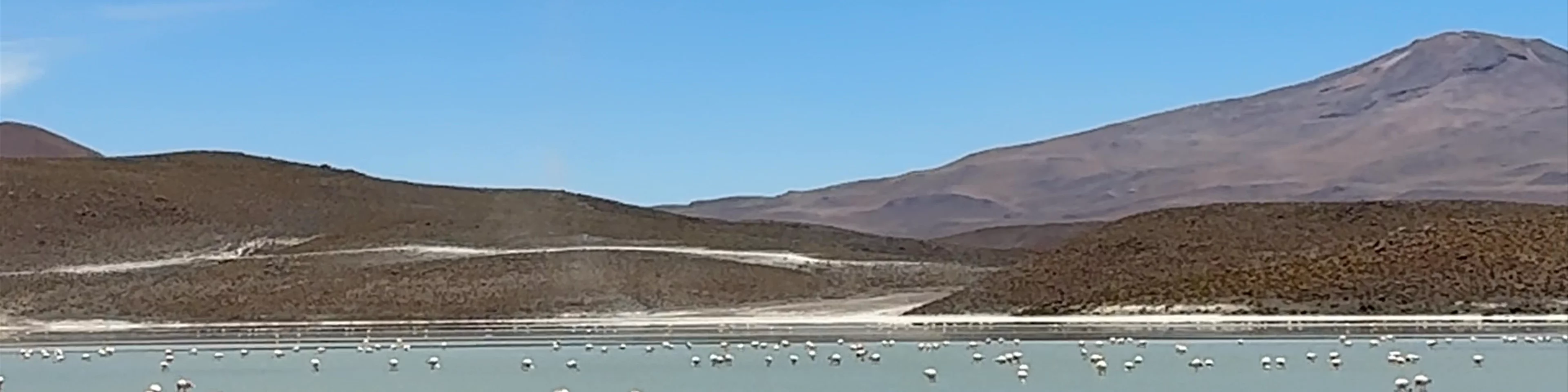 Laguna Hedionda