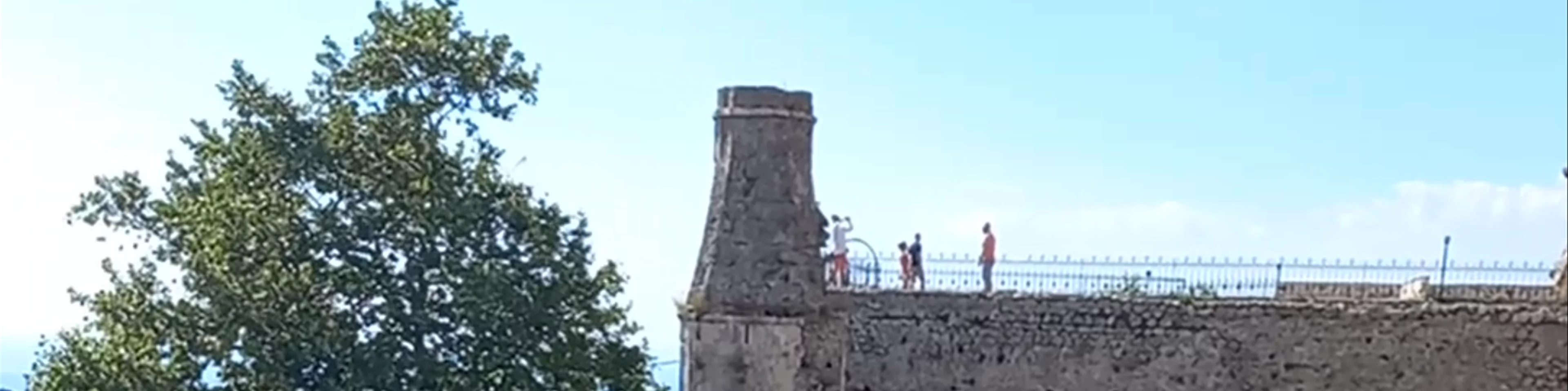 Xhamia e Fatih Sulltan Mehmetit