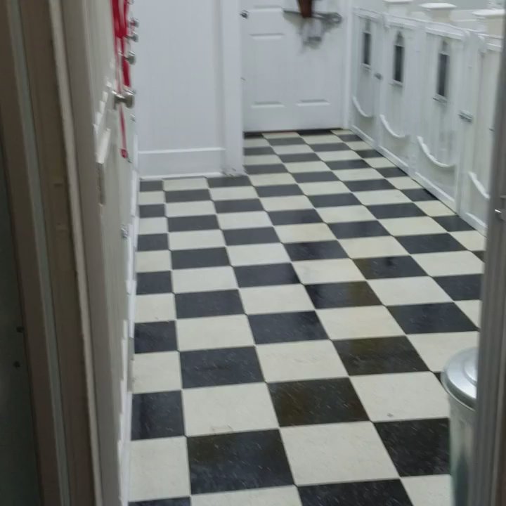 Fancy Pets - OUR BOARDING, SUITES AVAILABLE FOR ALL SIZES, ALSO A FAMILY SUITE AVAILABLE. - Pet Groomers Near Me - Lake Mary, Florida