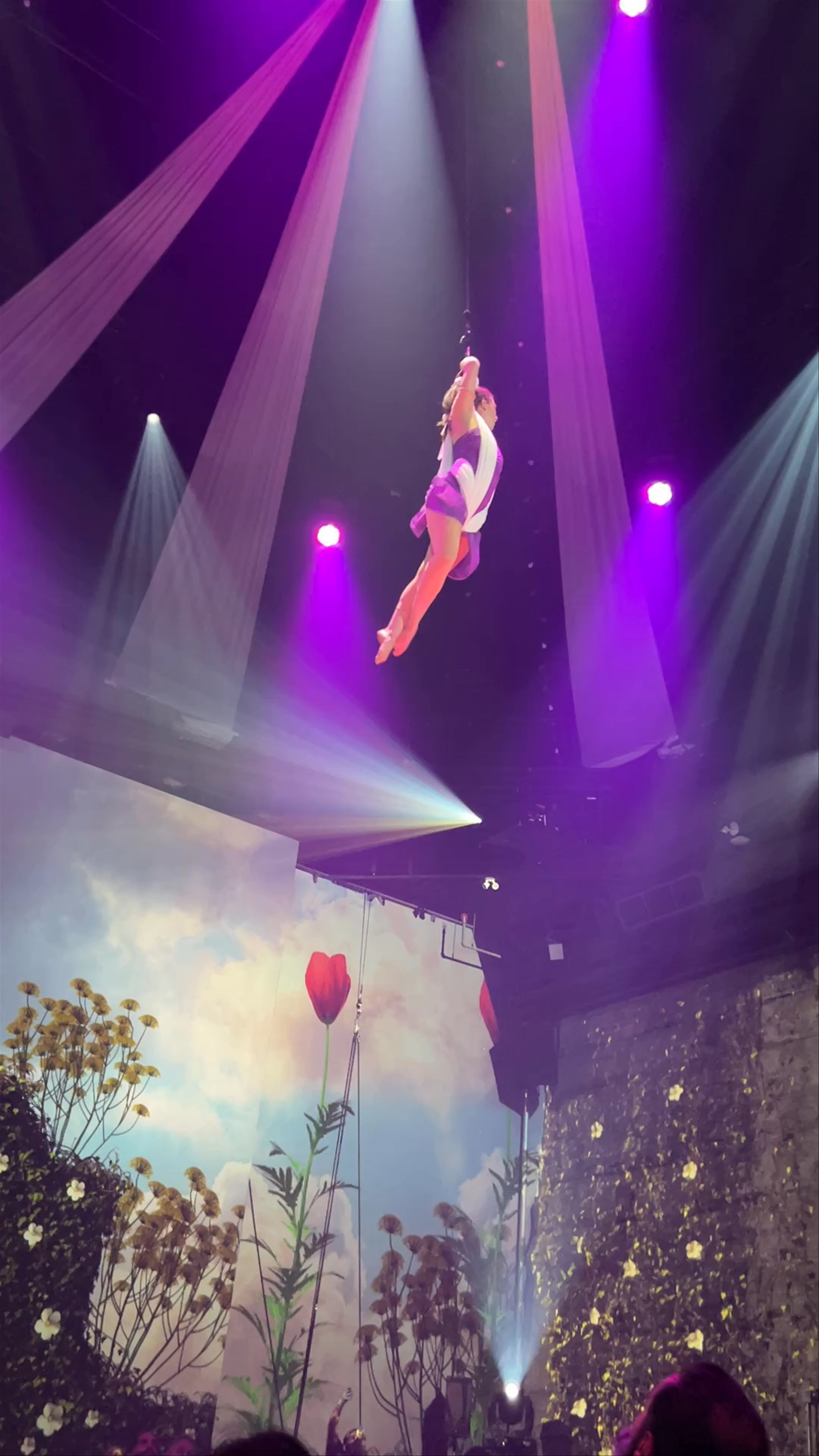 Cirque Éloize