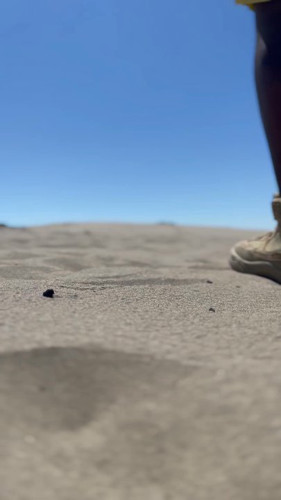 St. Anthony's Sandbar - Parks Near Me - Saint Anthony, Idaho