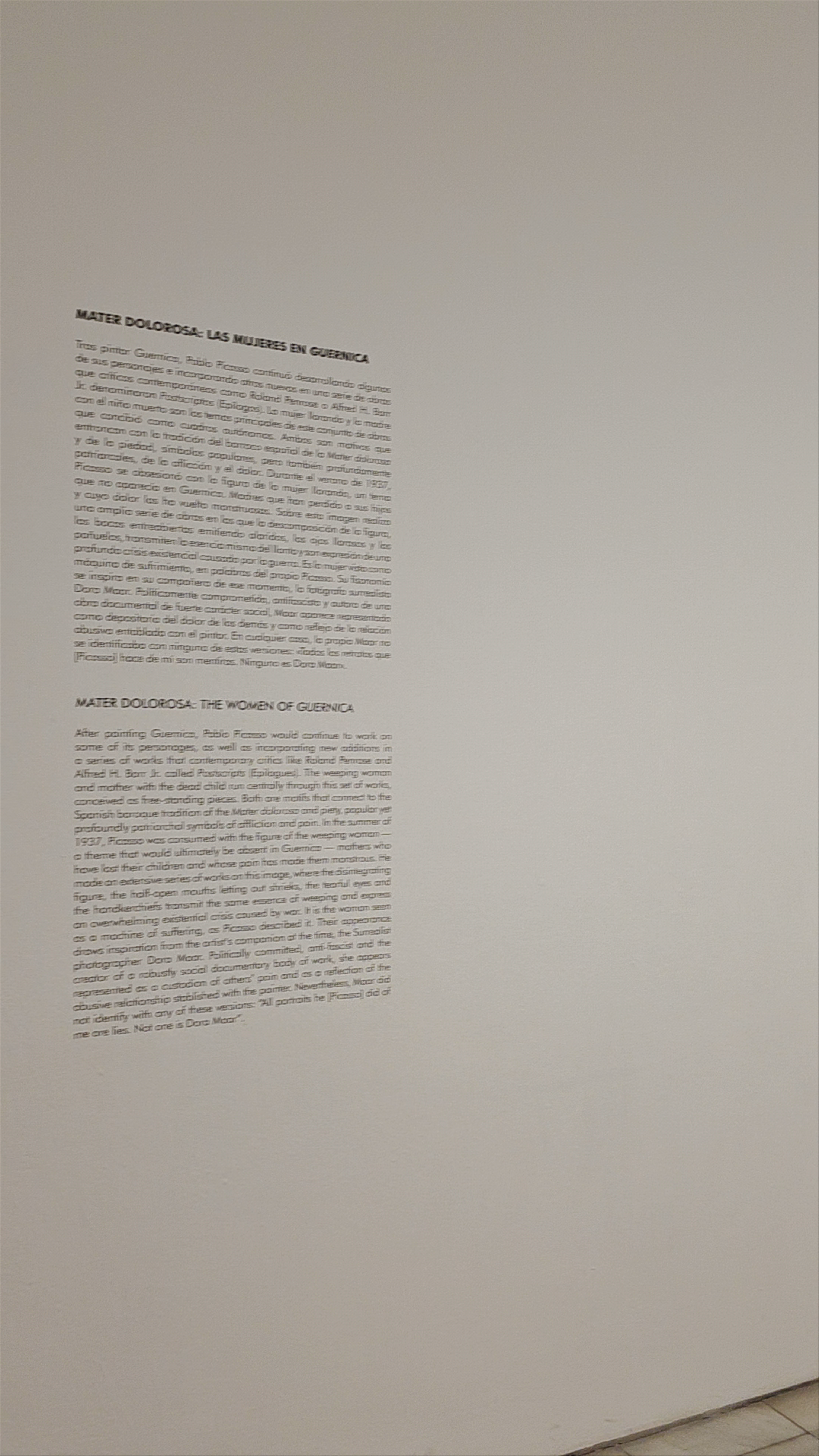 Museo Nacional Centro de Arte Reina Sofía