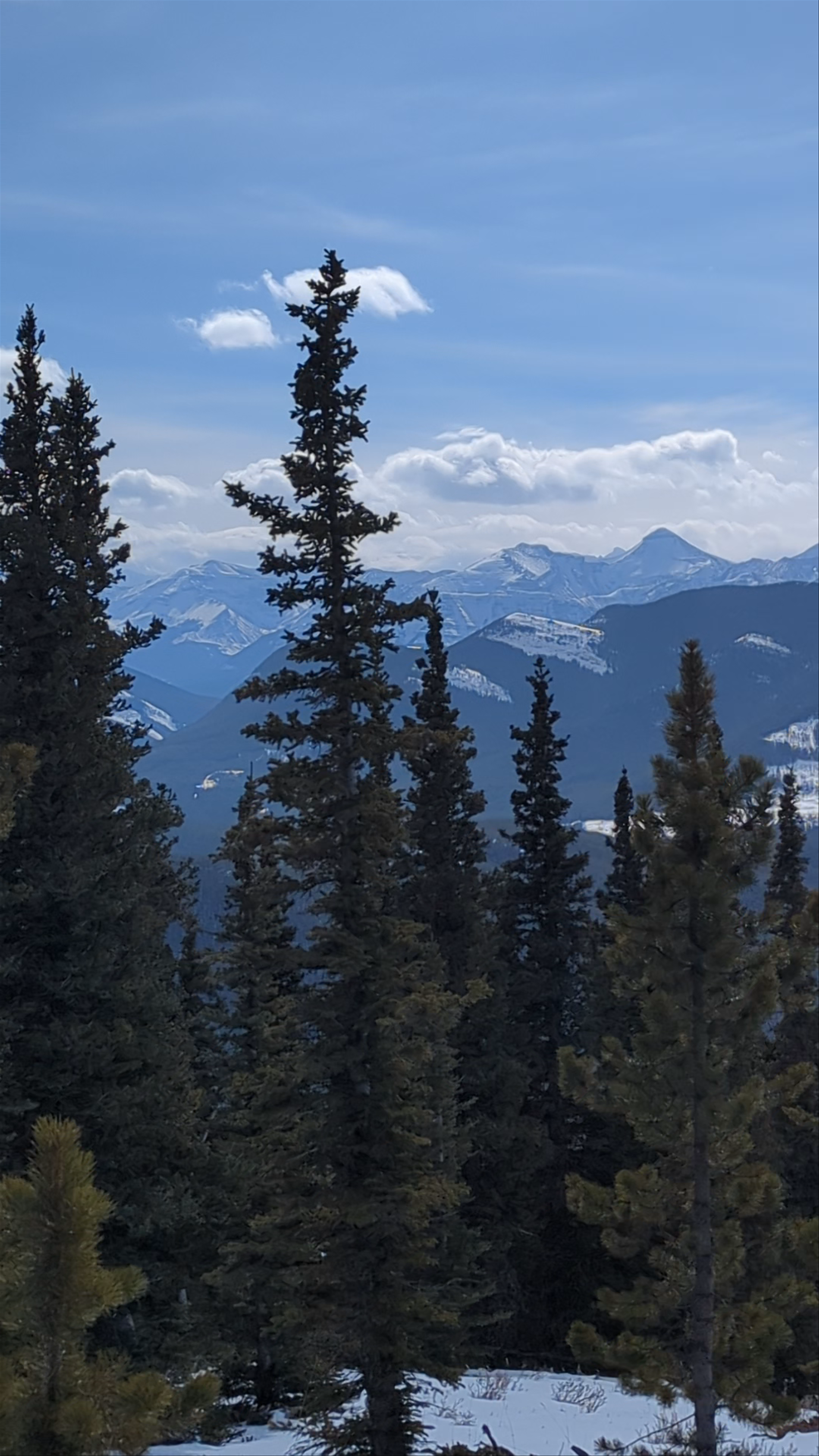 Powderface Creek Trailhead