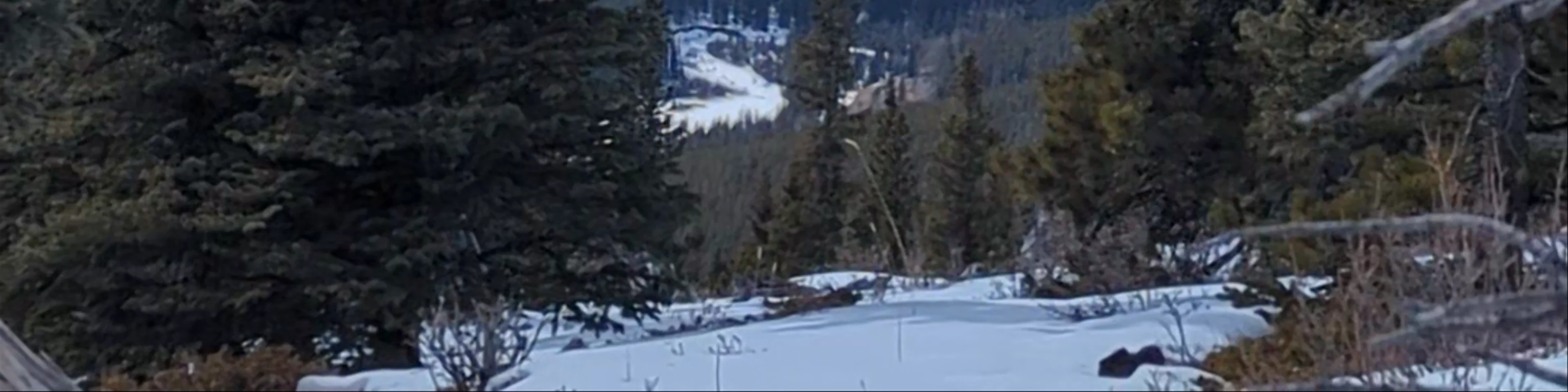 Powderface Creek Trailhead