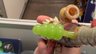 Small image 5