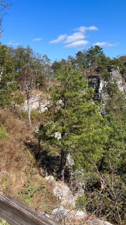 Pilot Mountain State Park - view toward the summit - Parks Near Me - Pinnacle, North Carolina