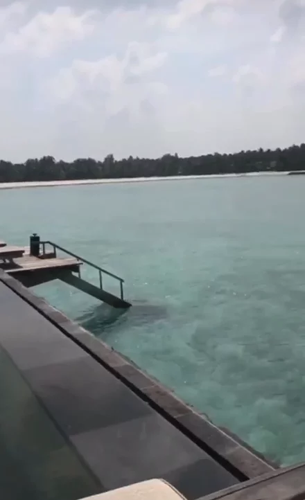 Maldives Beach Hotel