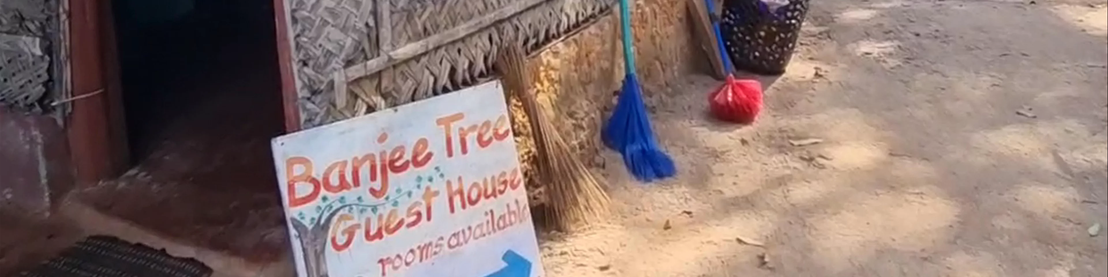 Banjee Tree
