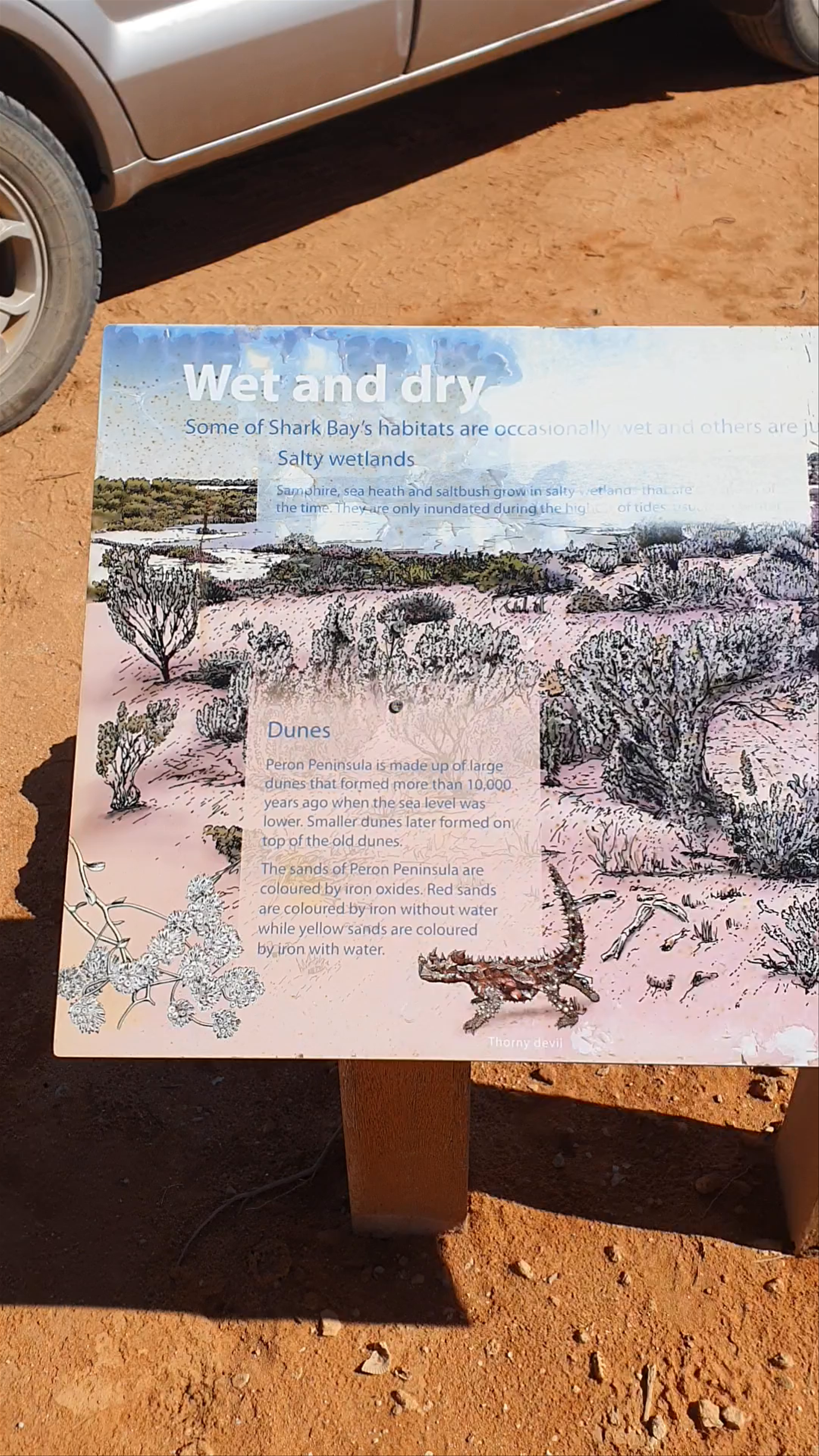 Lagoon Creek sunset lookout