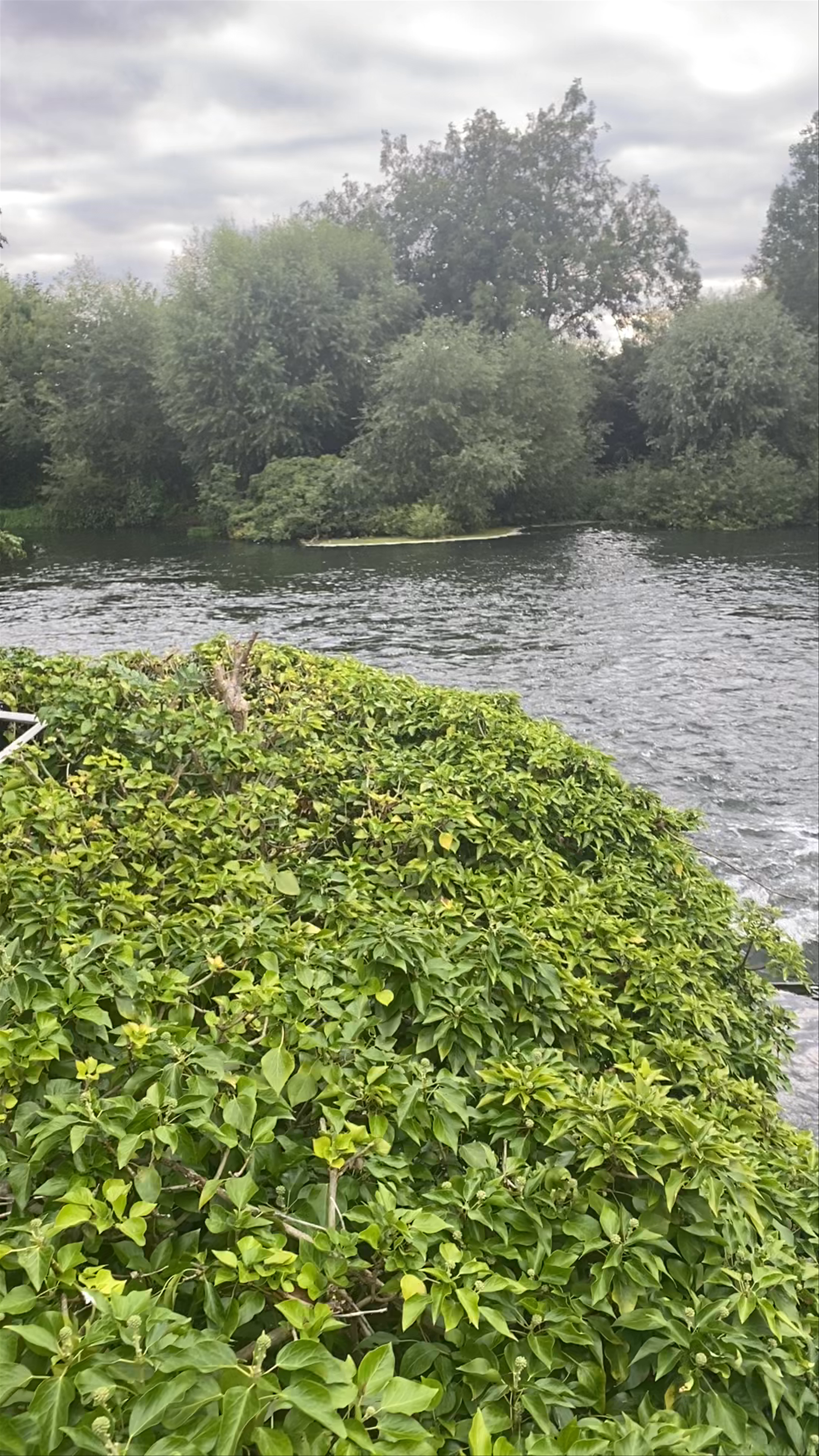 Dobbs Weir: Serene Waters and Lush Greenery in Hoddesdon