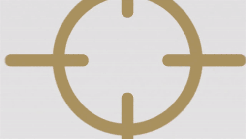 Video Thumbnail Loop