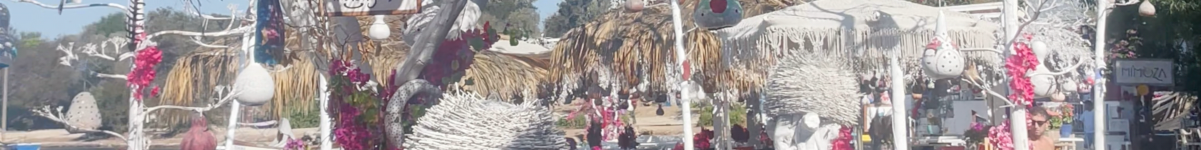 Tours & experiences in Turgutreis