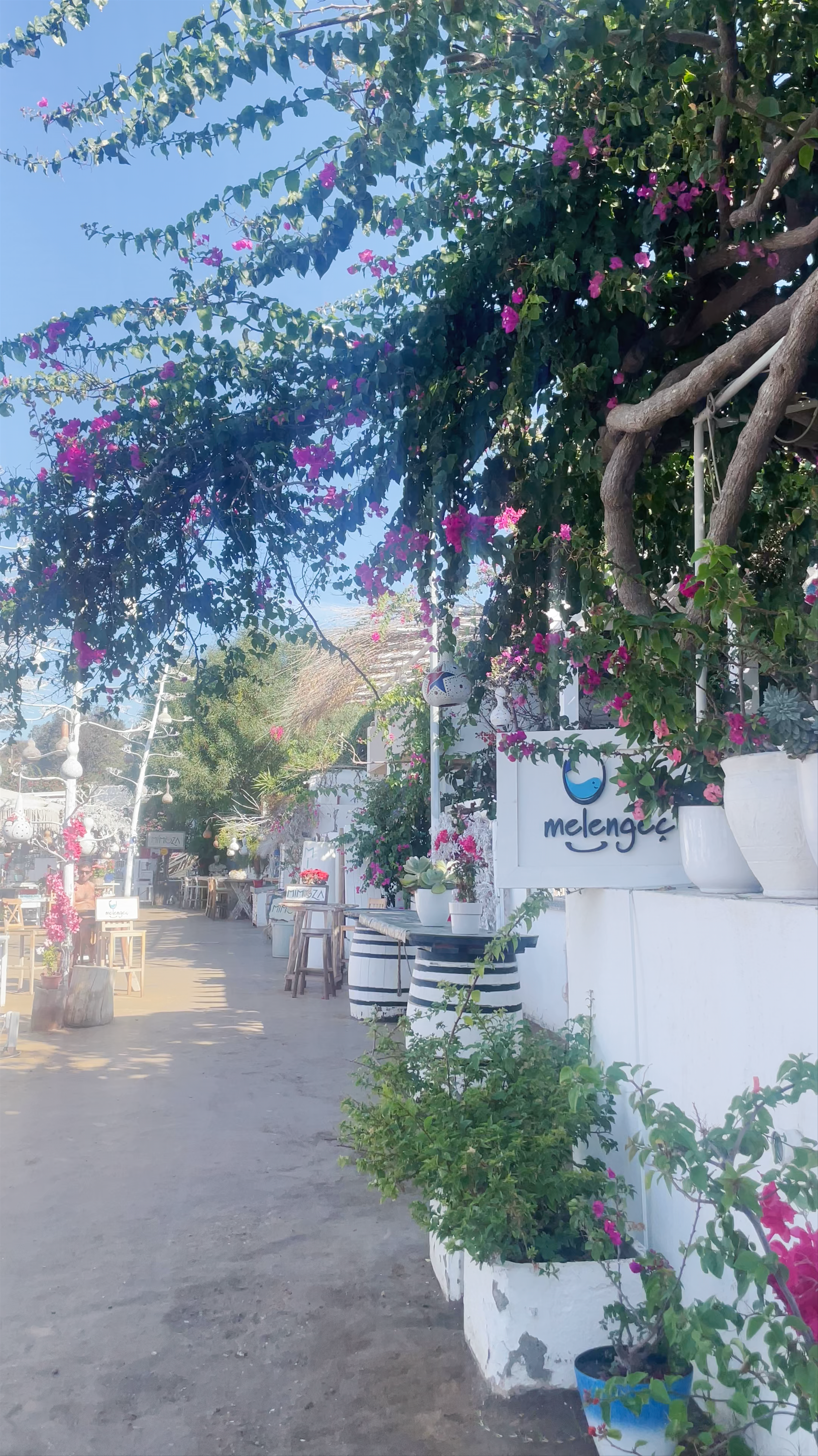 Sunlit Coastal Charm of Gümüşlük, Muğla, Türkiye