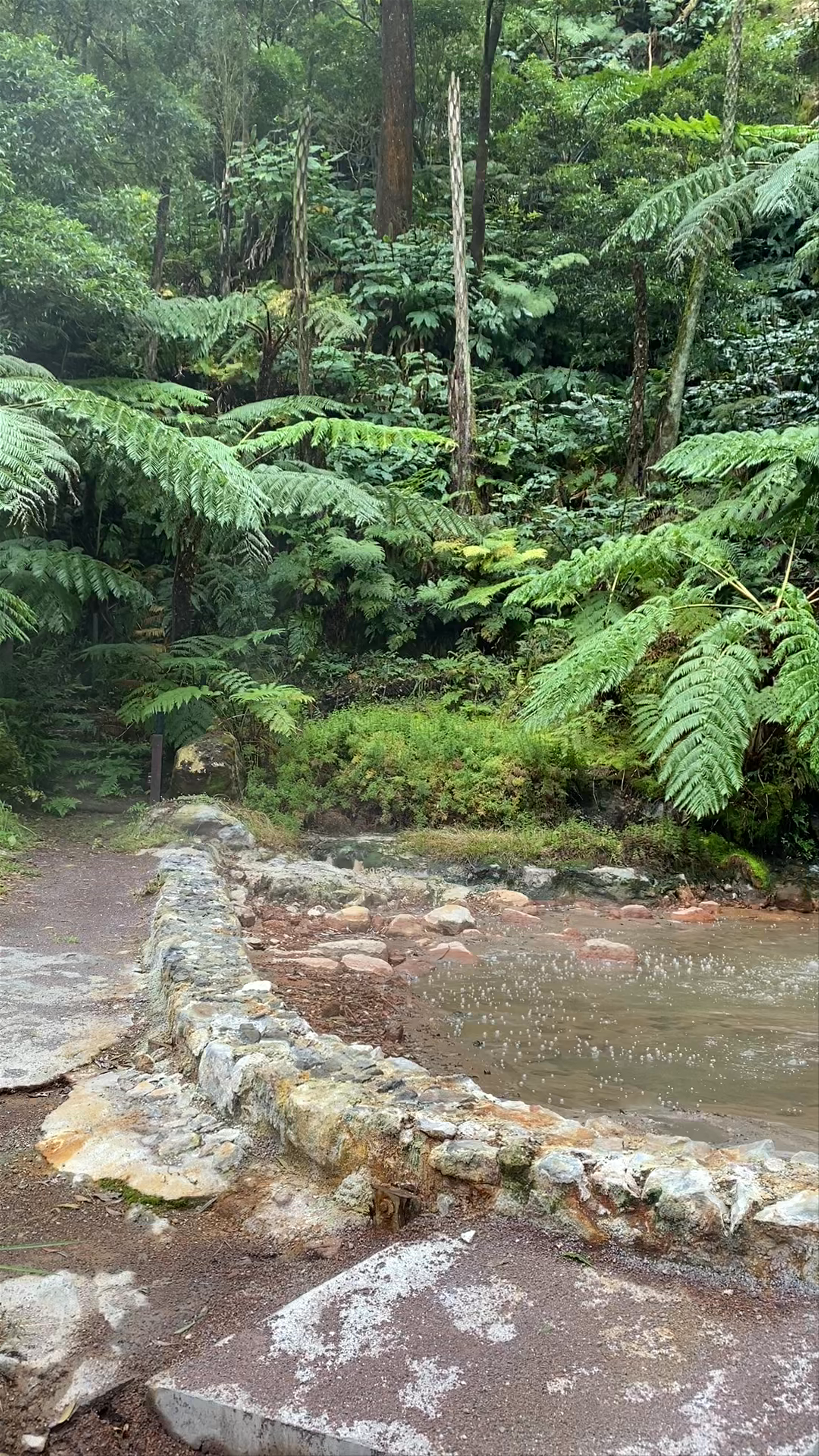 Caldeira Velha: Enchanting Thermal Springs in Ribeira Grande, Azores