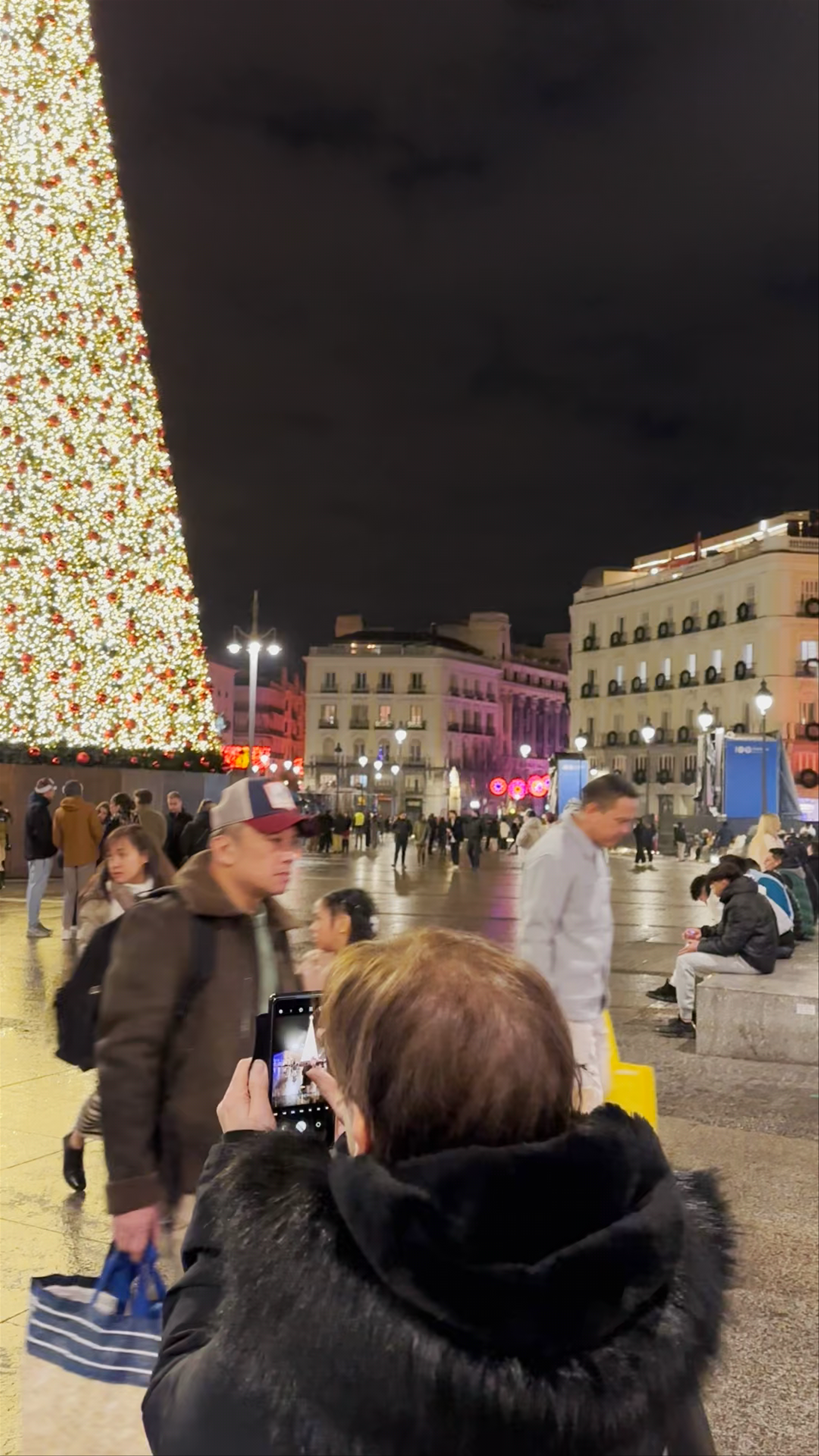 Festive Nights at Sol, Madrid – Magical Christmas Tree Experience