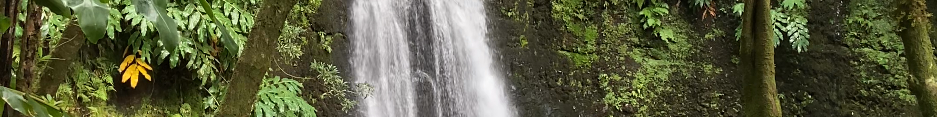 Tours & experiences in Nordeste