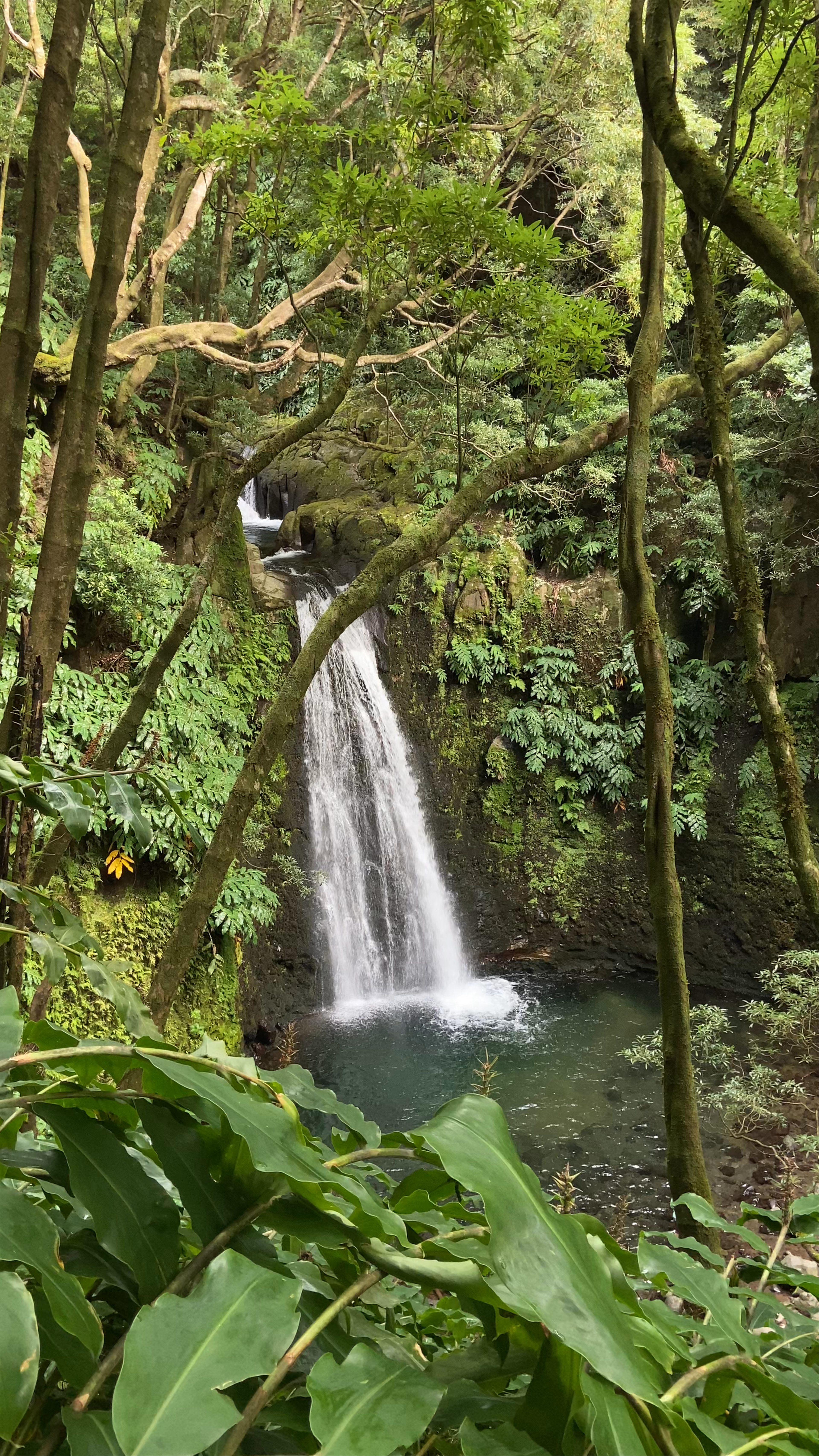Salto do Prego Waterfall: A Hidden Tropical Gem in Portugal
