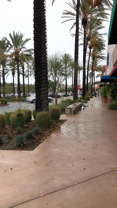 Bath & Body Works - Started raining and it got windy! - Cosmetics & Beauty Supply Near Me - Cerritos, California