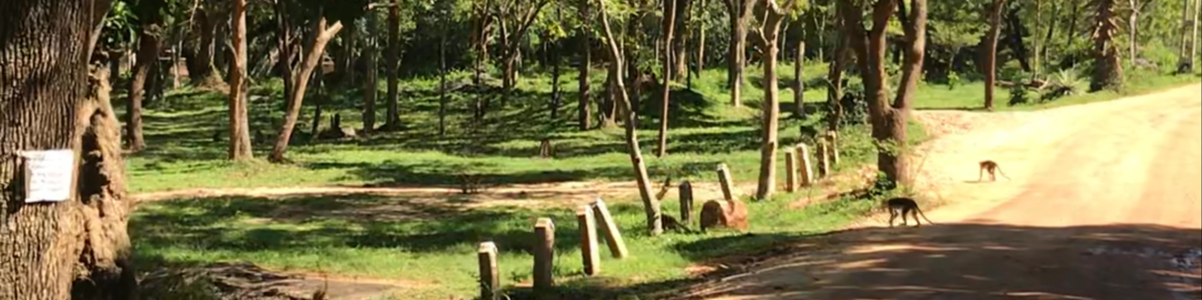 Bodikaraya