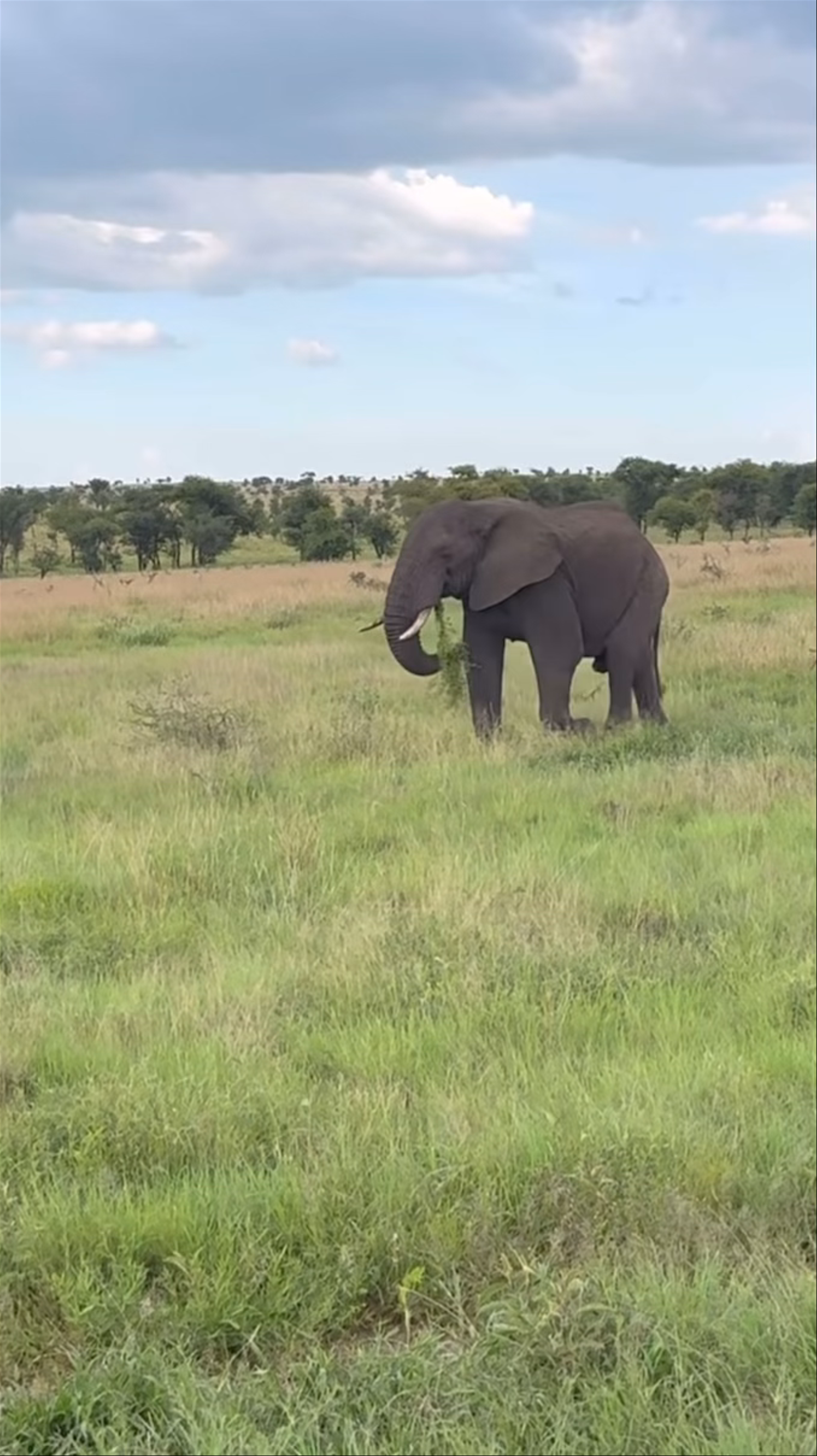 Serengeti National Park