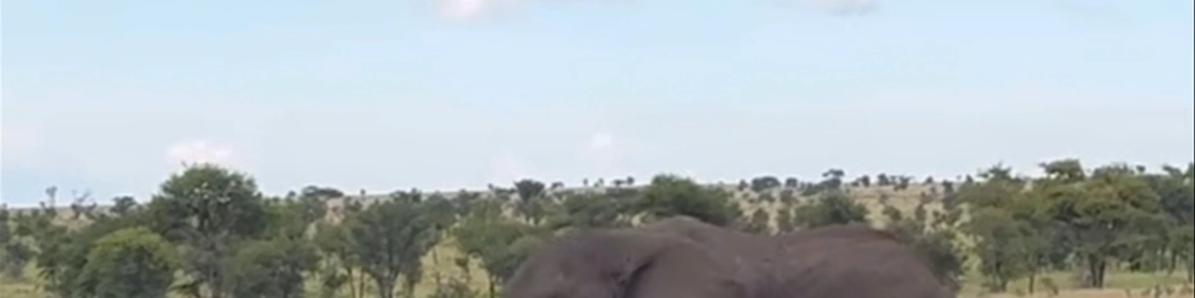 Serengeti National Park