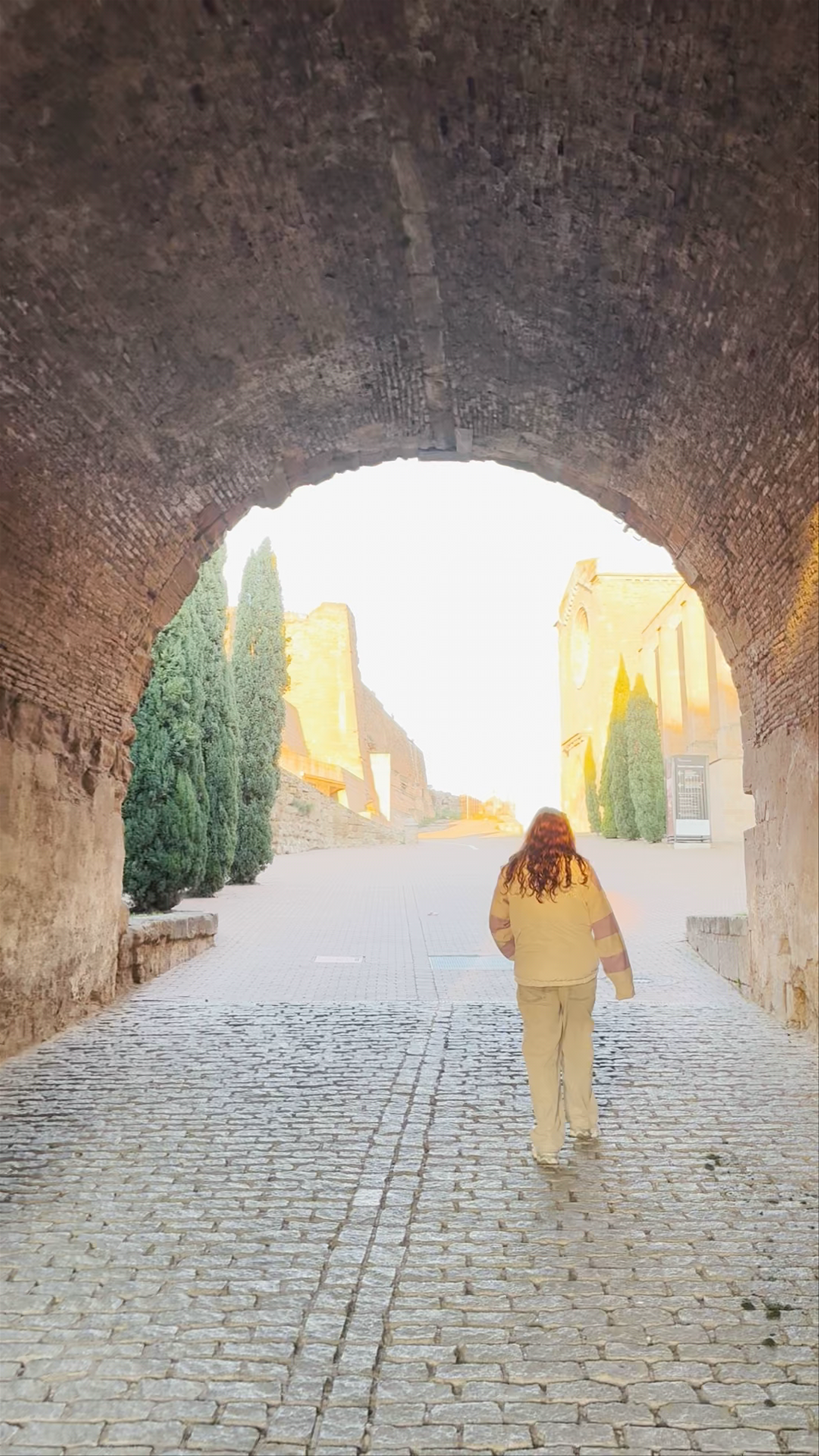 Turó de la Seu Vella