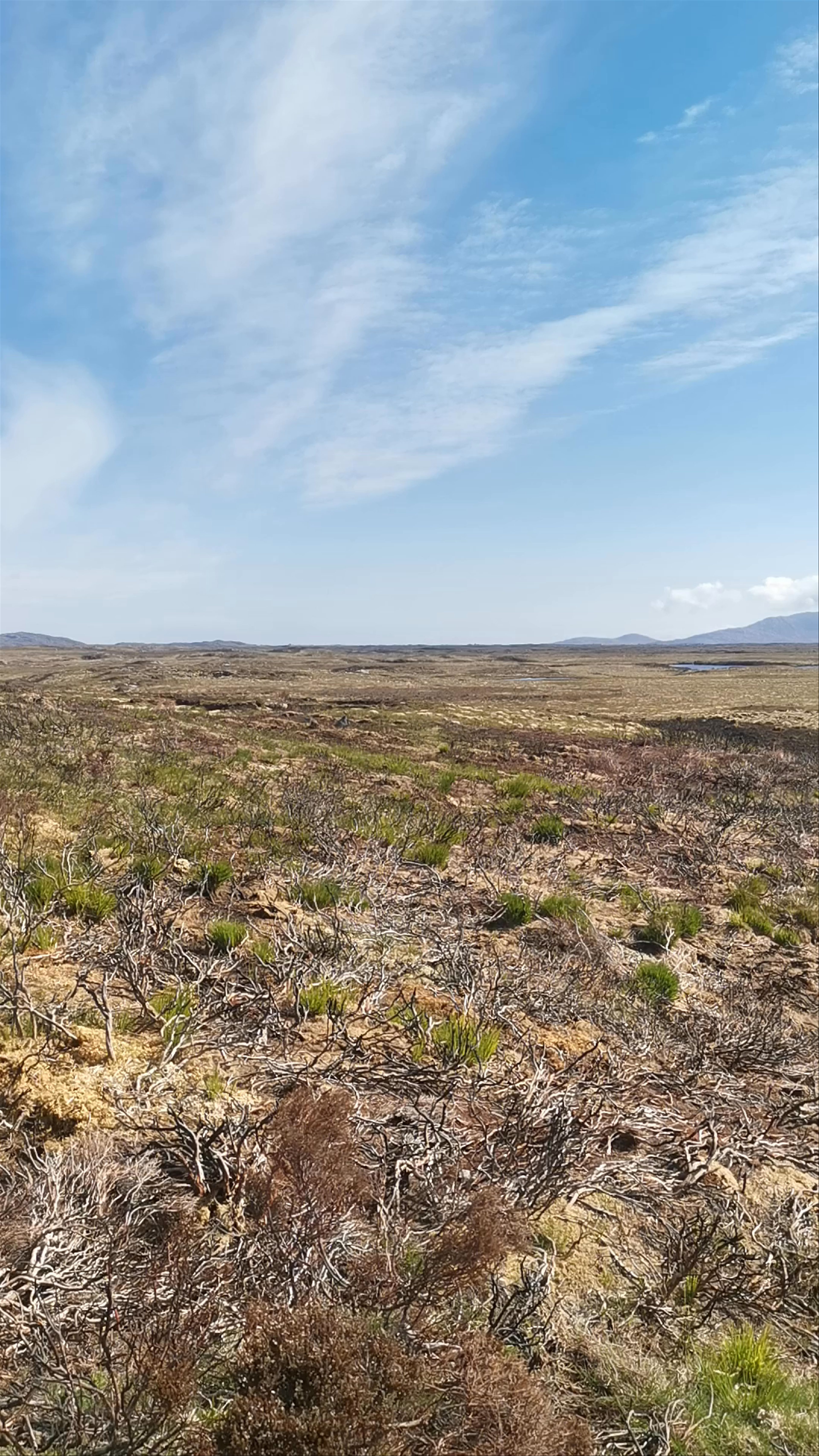 Shielings of the One Night