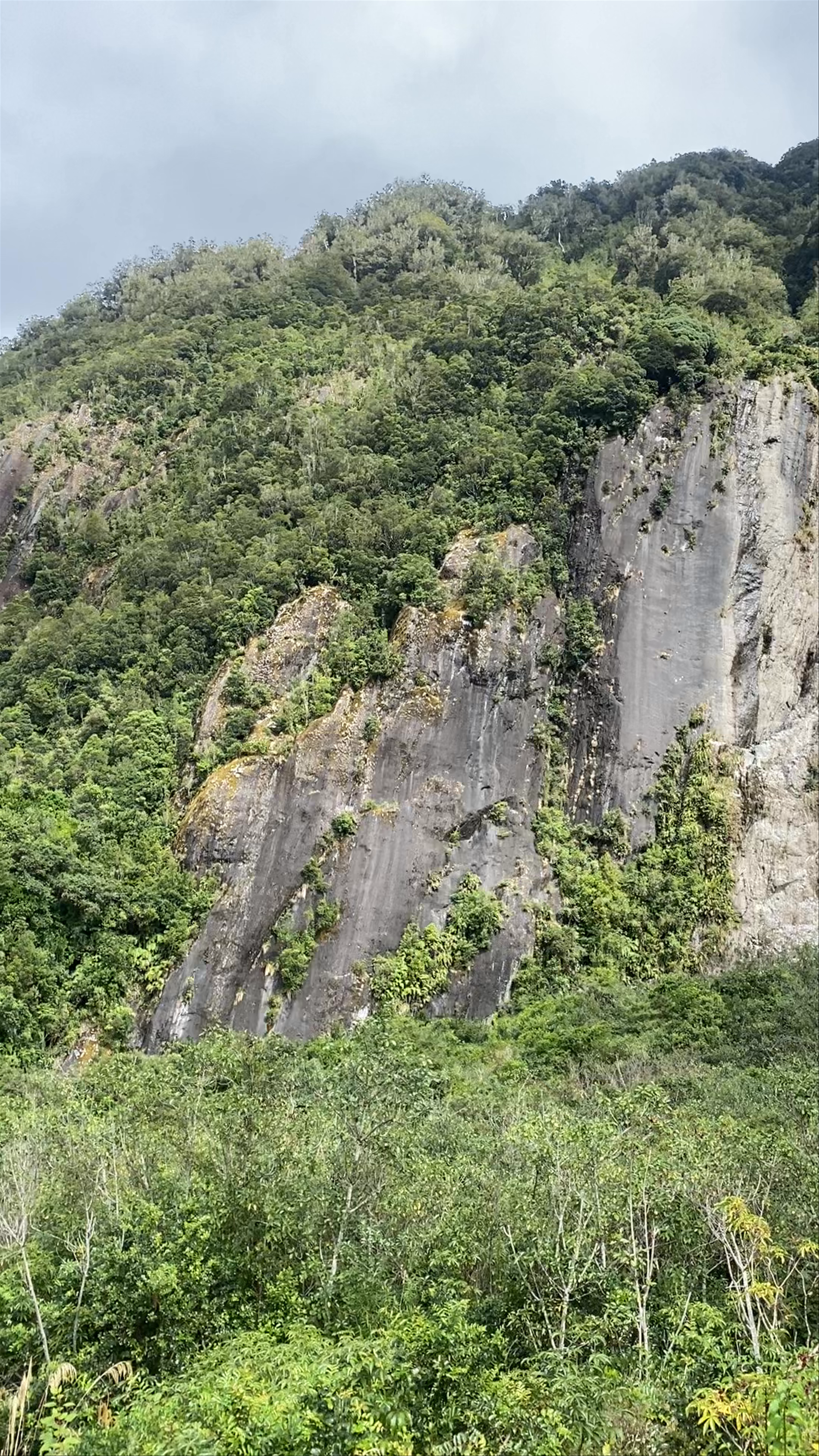 Franz Josef Glacier