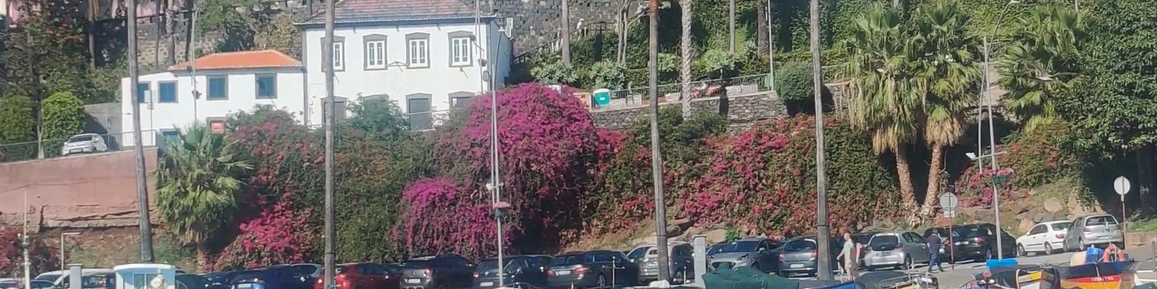 Camara de Lobos Bay