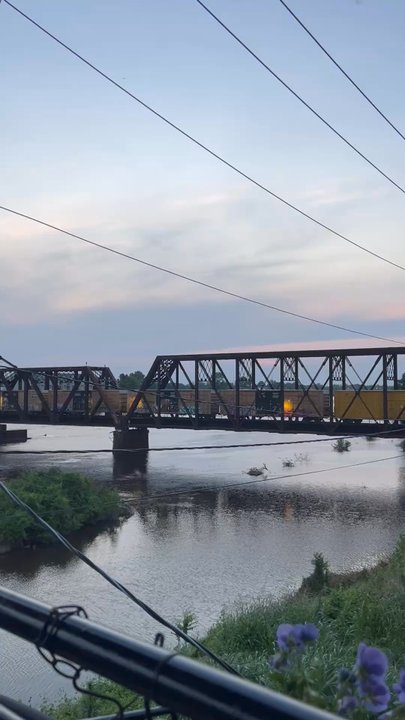 Cotton - Southern Near Me - Monroe, Louisiana