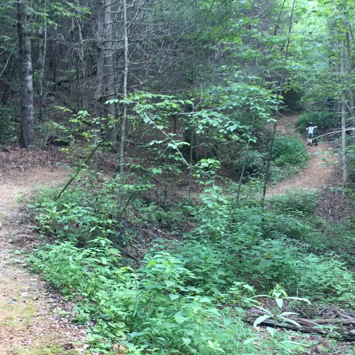 Piney Knob Trails - Hiking Near Me