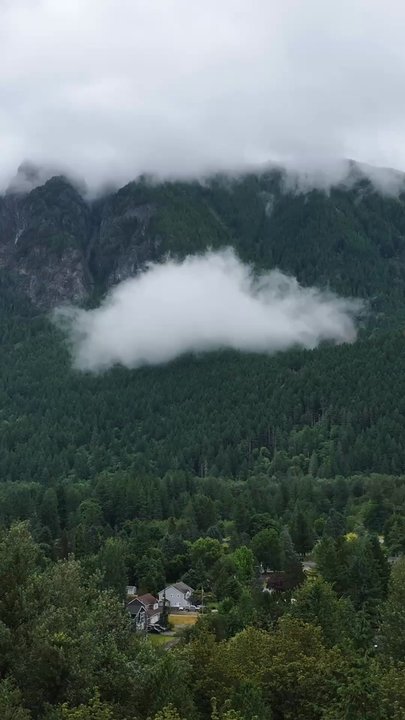 Cascadia Pizza - What food should I try next - Pizza Near Me - North Bend, Washington