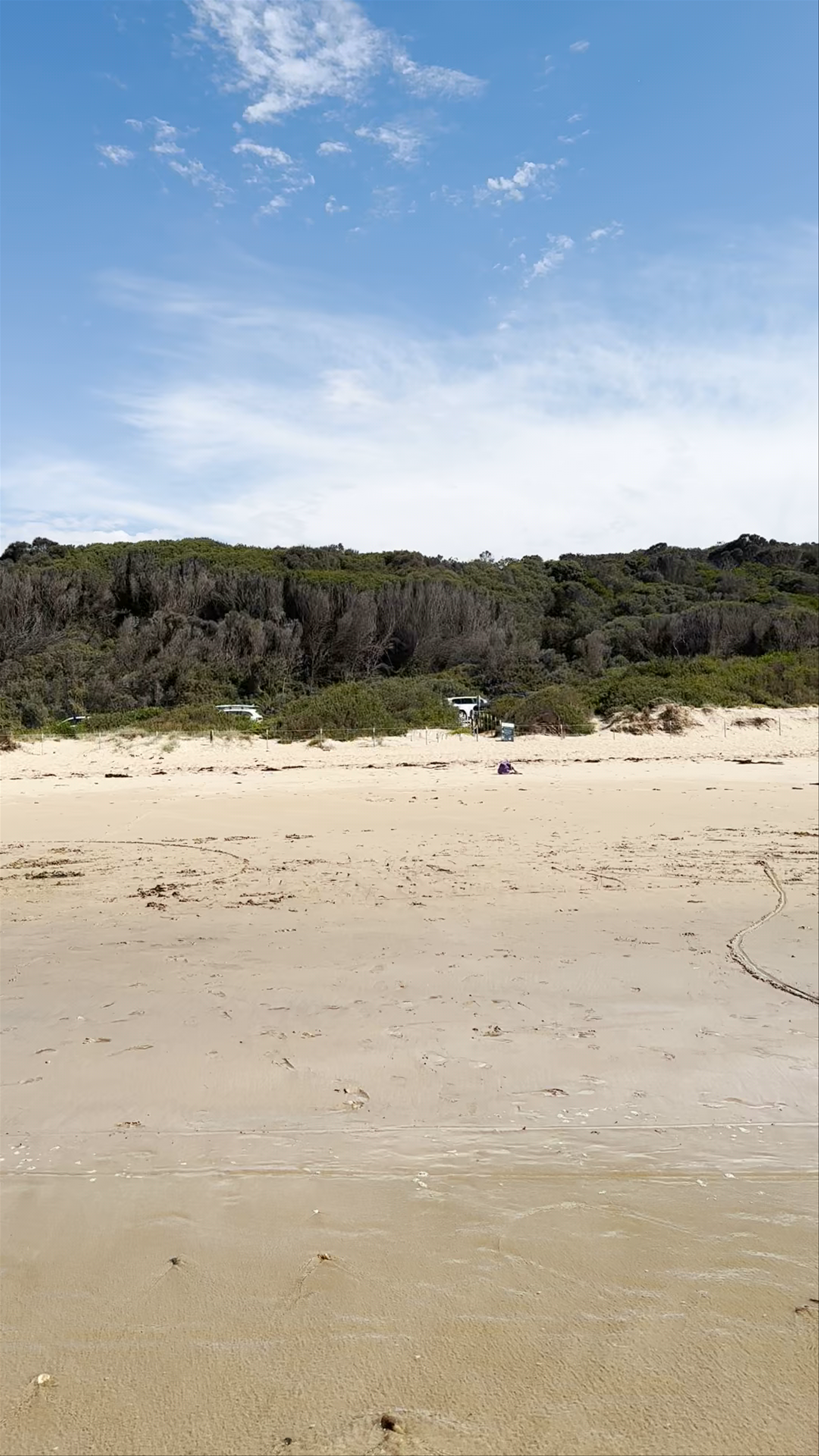 Anglesea Beach