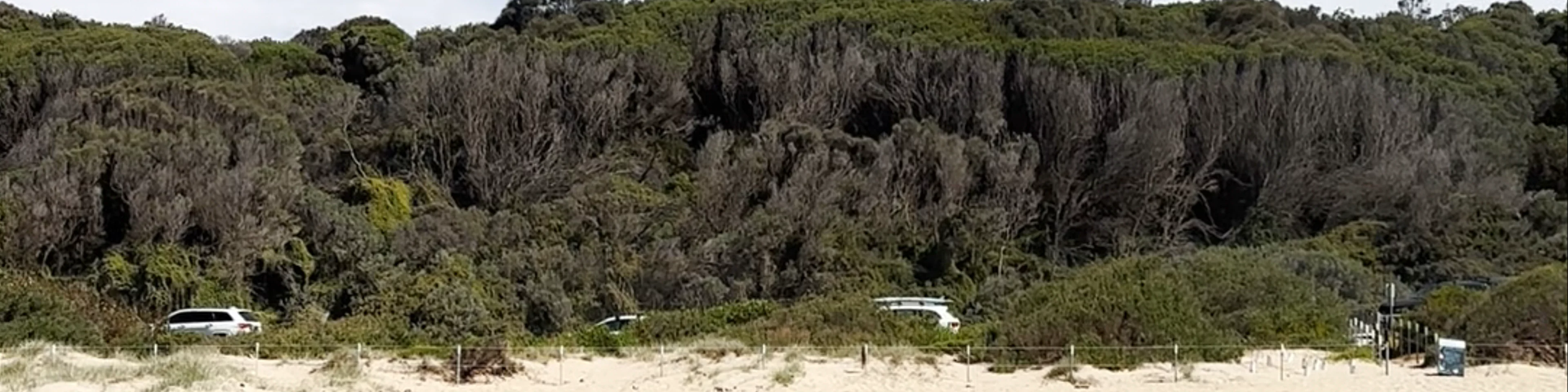 Anglesea Beach